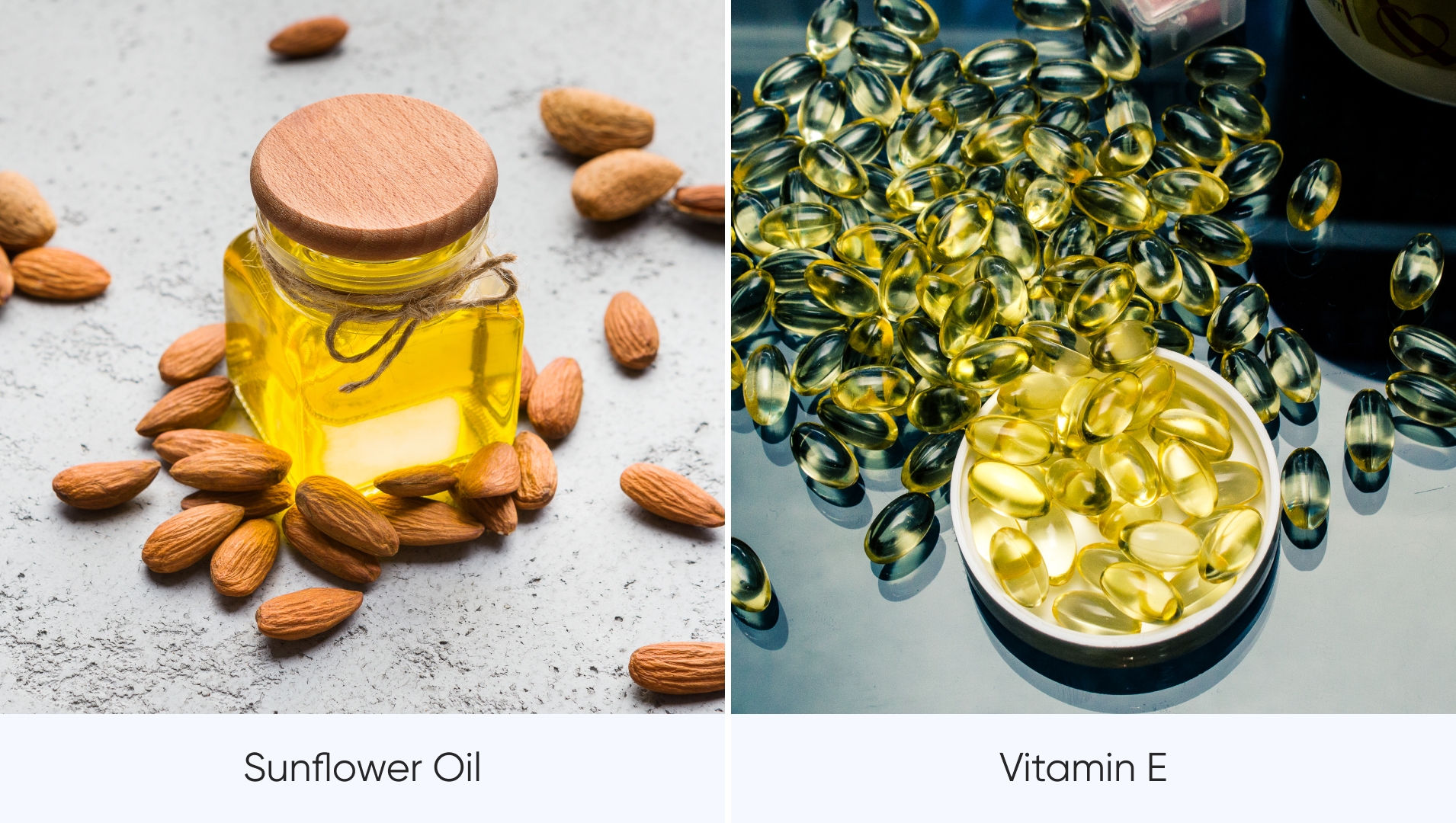 Key Ingredients