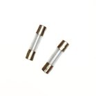 Fuse for HydroDiamond Machine (F3AL125V) 1 mini